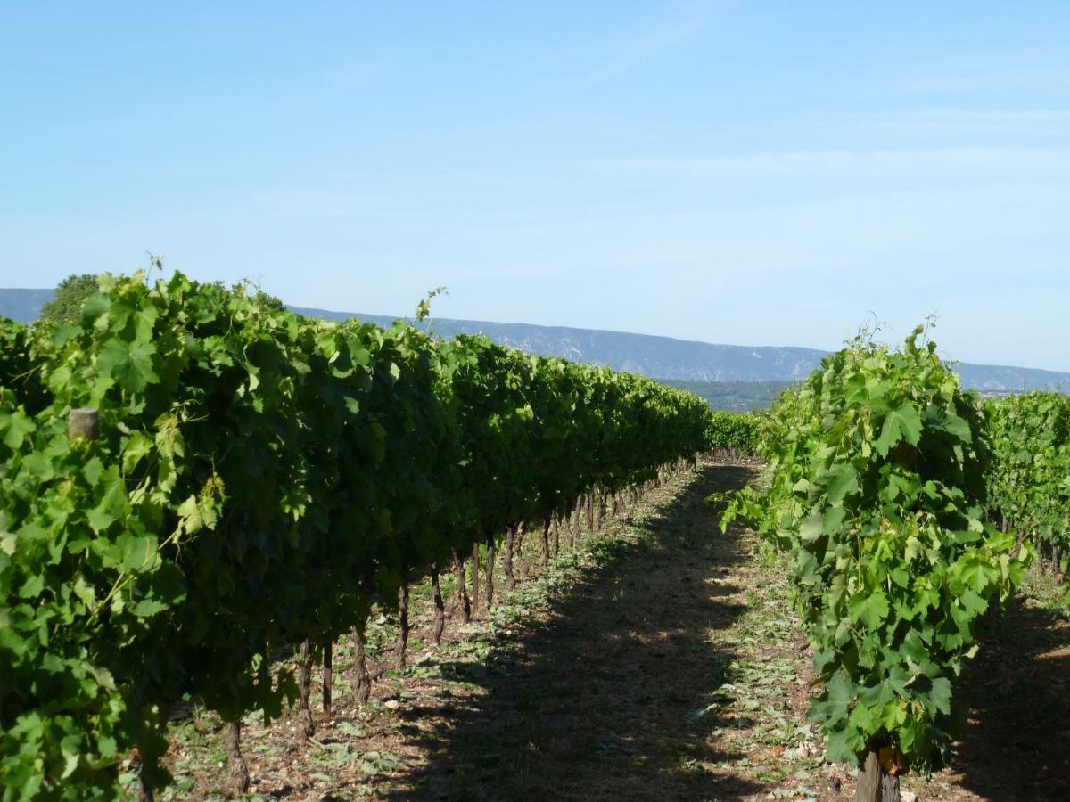 Luberon & Lavandes Roussillon  Exterior photo