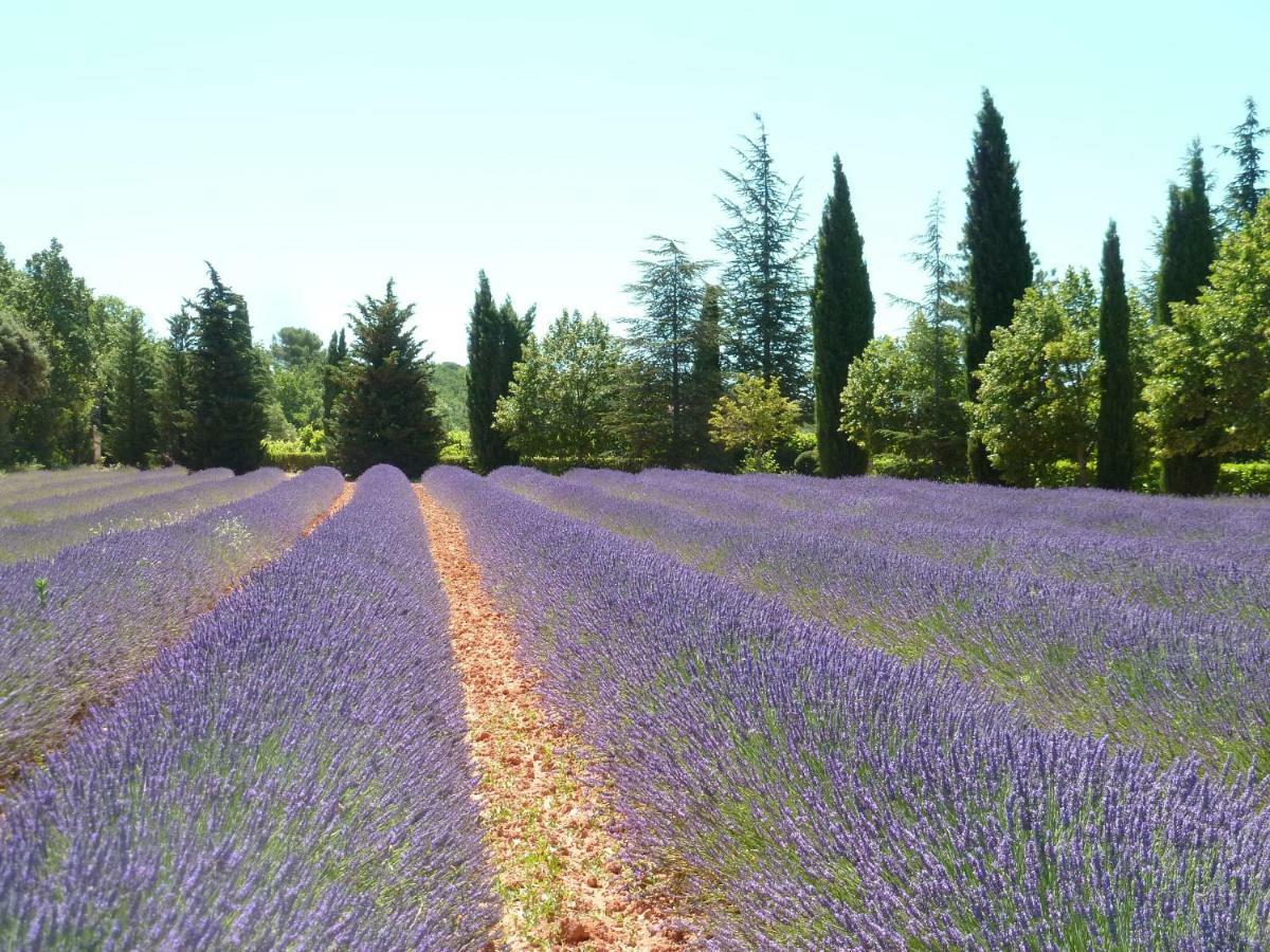 Luberon & Lavandes Roussillon  Exterior photo